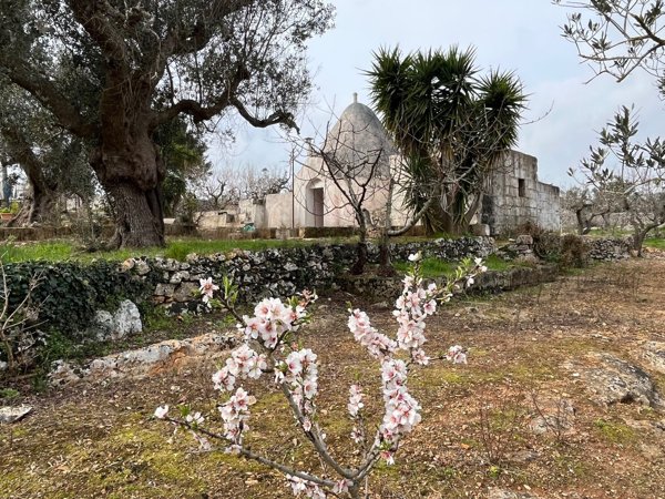 appartamento in vendita a Ceglie Messapica