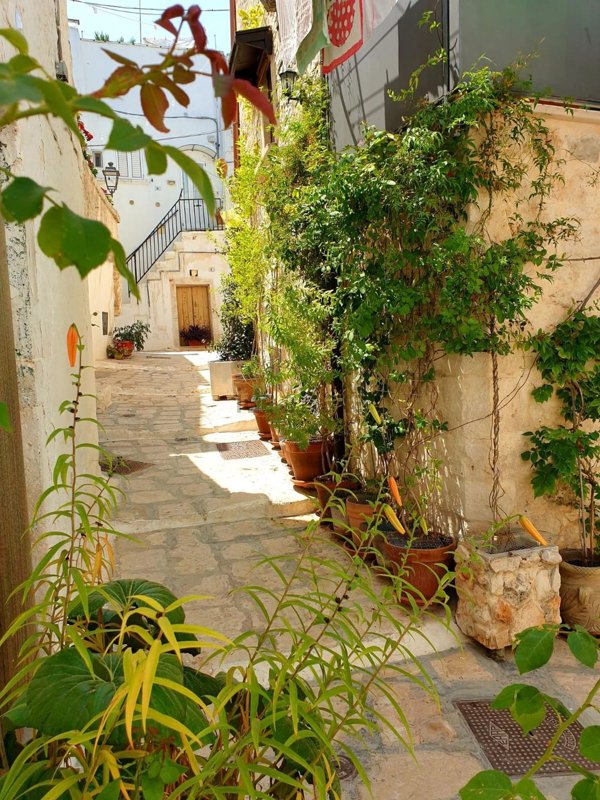 casa indipendente in vendita a Ceglie Messapica