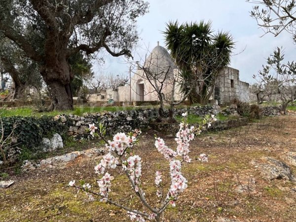 appartamento in vendita a Ceglie Messapica