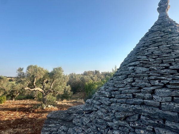 terreno edificabile in vendita a Ceglie Messapica