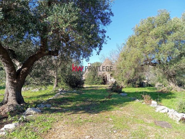 terreno agricolo in vendita a Ceglie Messapica