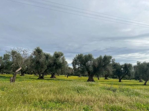 casa indipendente in vendita a Ceglie Messapica