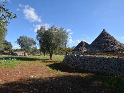 casa indipendente in vendita a Ceglie Messapica