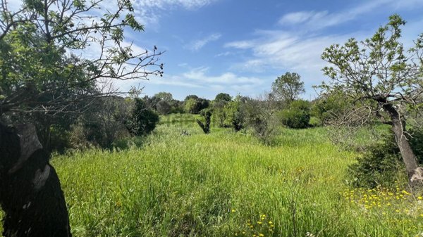 casa indipendente in vendita a Ceglie Messapica