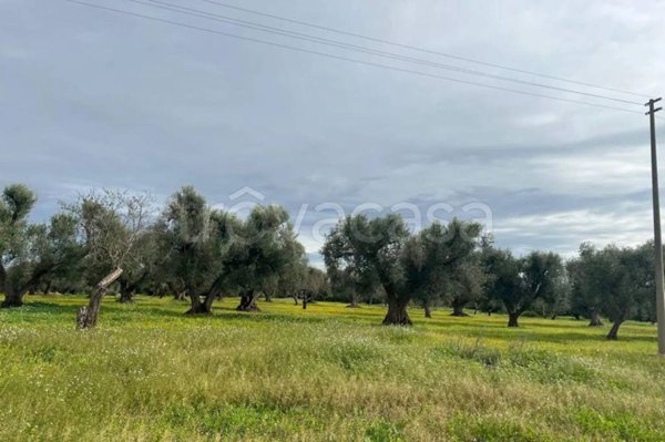 casa indipendente in vendita a Ceglie Messapica
