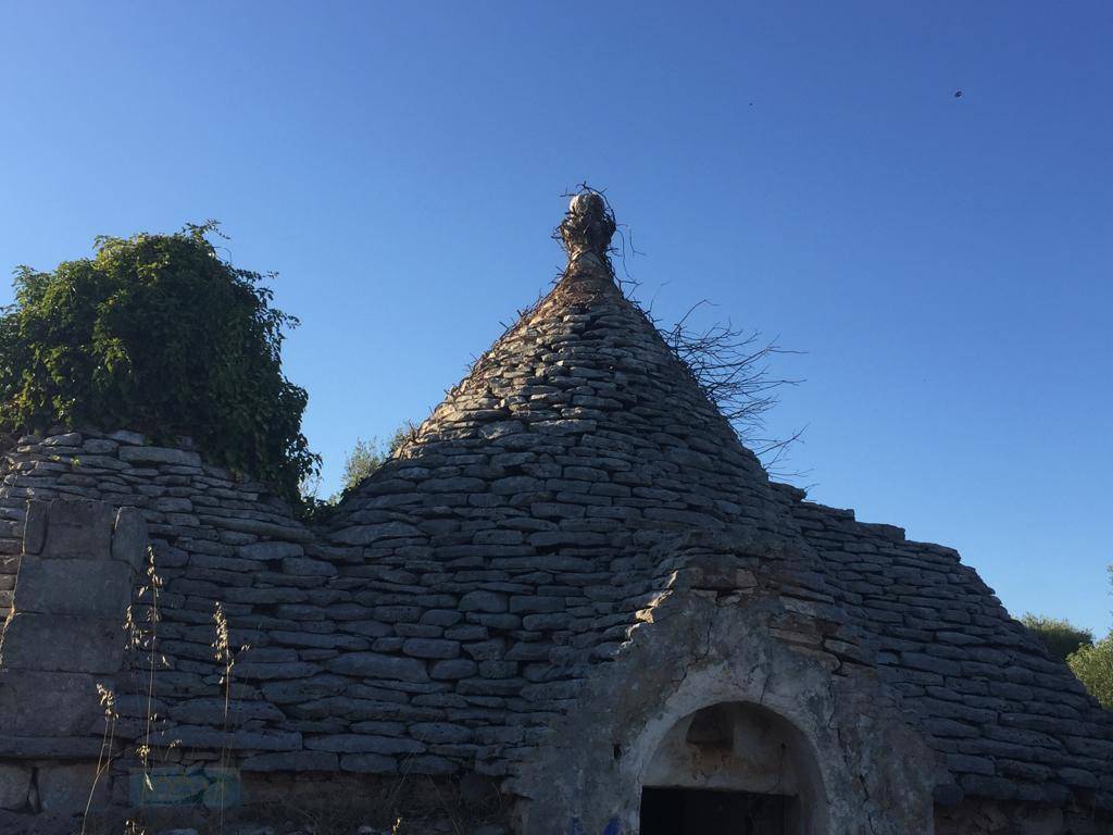 casa indipendente in vendita a Ceglie Messapica