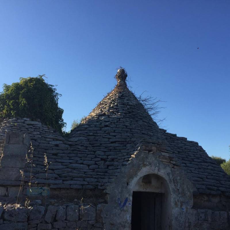 casale in vendita a Ceglie Messapica
