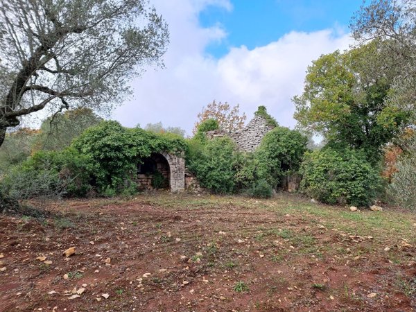 appartamento in vendita a Ceglie Messapica