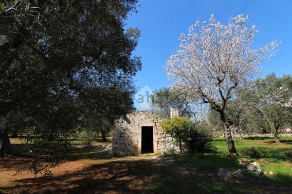 appartamento in vendita a Ceglie Messapica