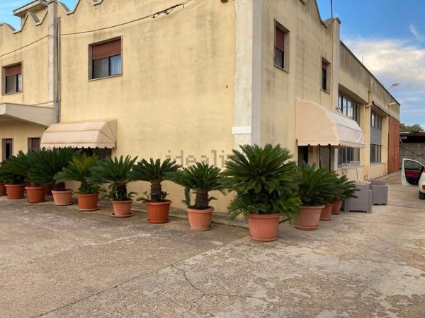 casa indipendente in vendita a Ceglie Messapica