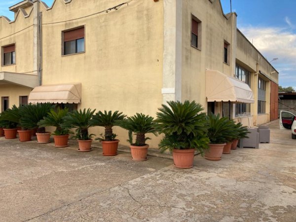 casa indipendente in vendita a Ceglie Messapica