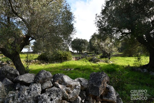 terreno edificabile in vendita a Ceglie Messapica