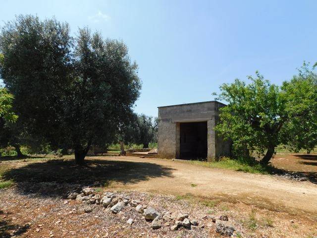 terreno agricolo in vendita a Ceglie Messapica