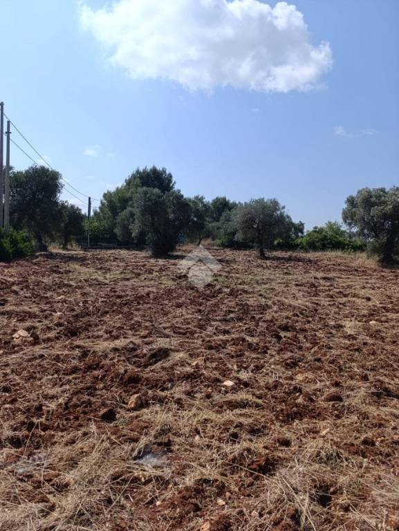 terreno agricolo in vendita a Ceglie Messapica