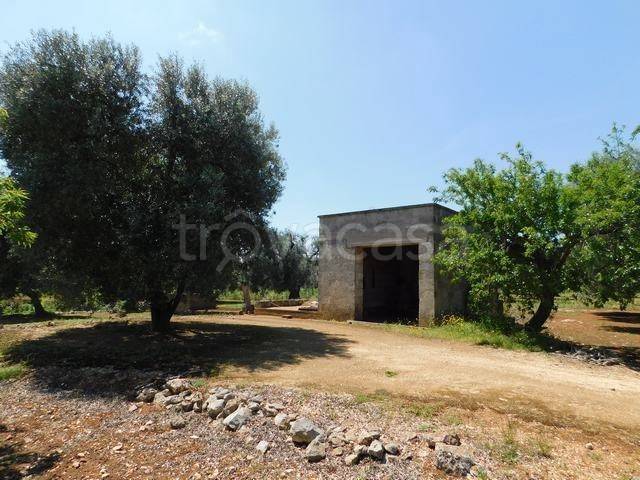 terreno in vendita a Ceglie Messapica