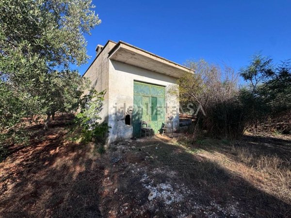 appartamento in vendita a Ceglie Messapica