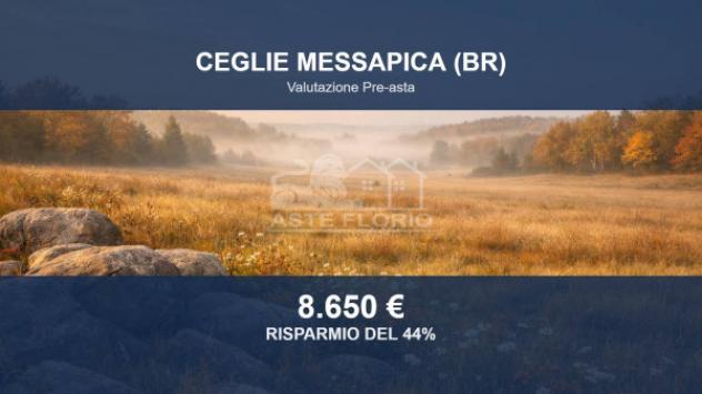 terreno agricolo in vendita a Ceglie Messapica