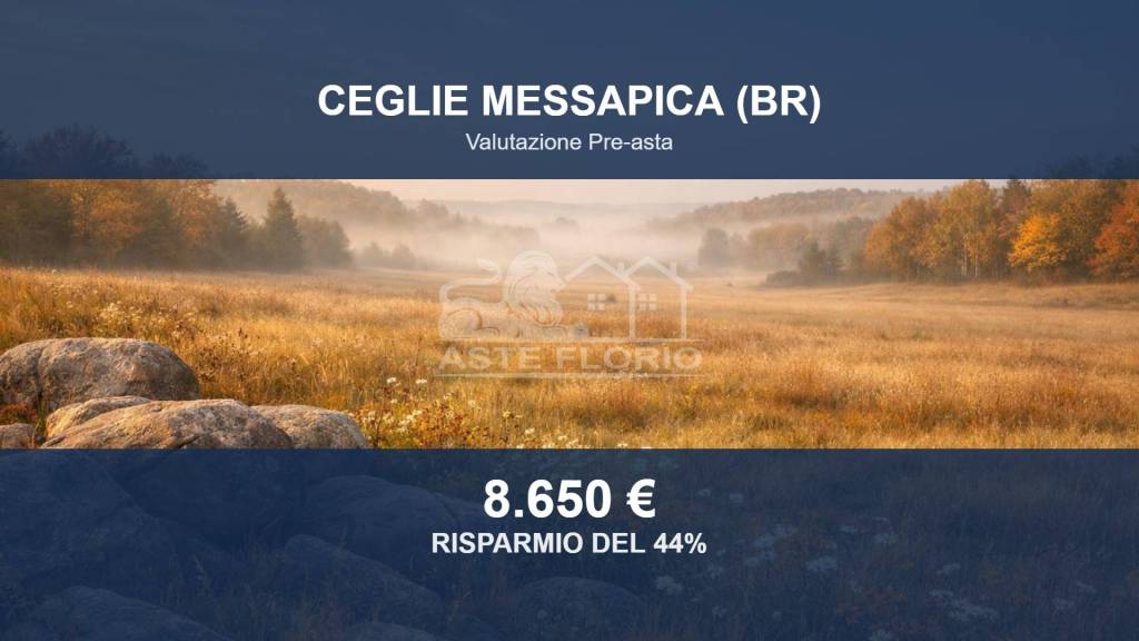 terreno agricolo in vendita a Ceglie Messapica