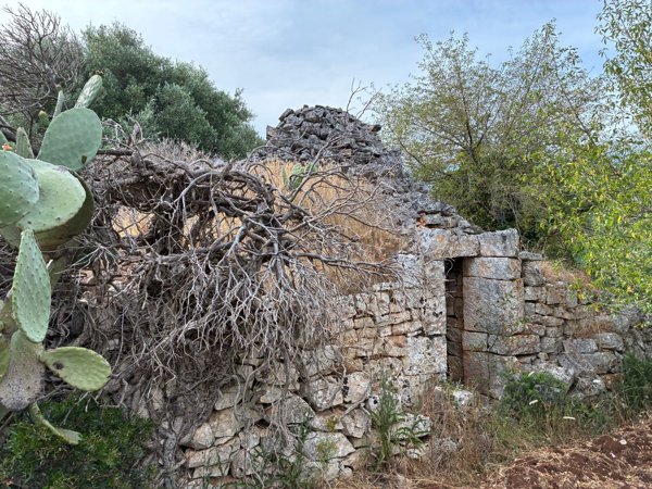 appartamento in vendita a Ceglie Messapica