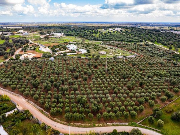 terreno agricolo in vendita a Ceglie Messapica
