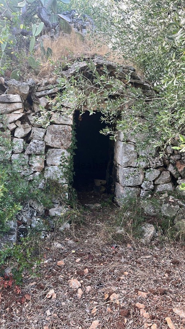 casale in vendita a Ceglie Messapica