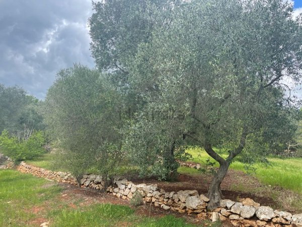 casale in vendita a Ceglie Messapica