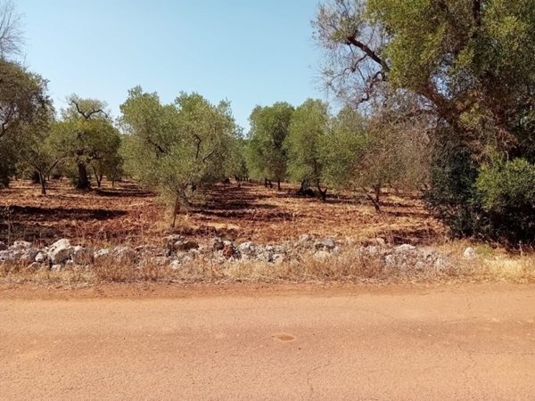 terreno in vendita a Ceglie Messapica