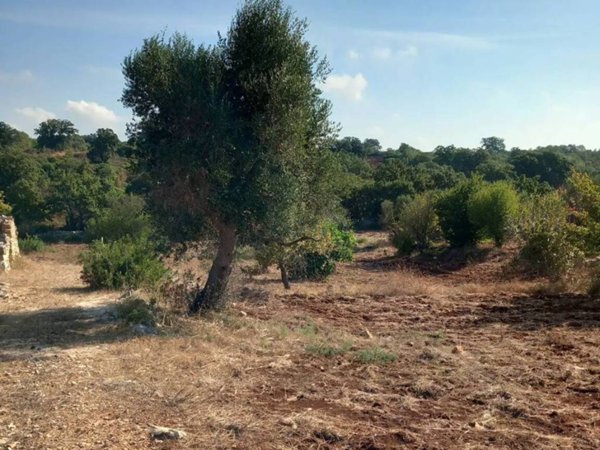 terreno in vendita a Ceglie Messapica