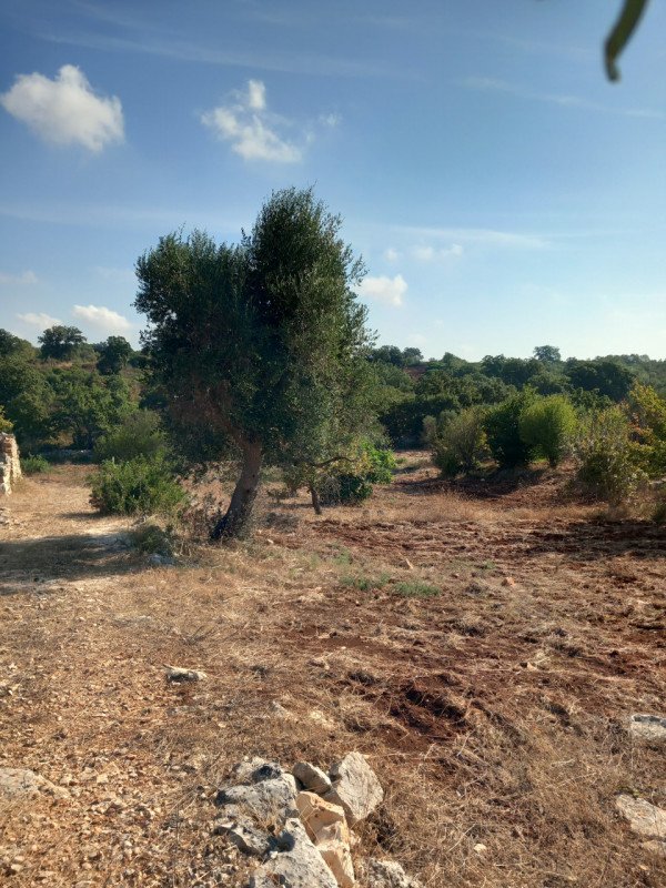 terreno in vendita a Ceglie Messapica