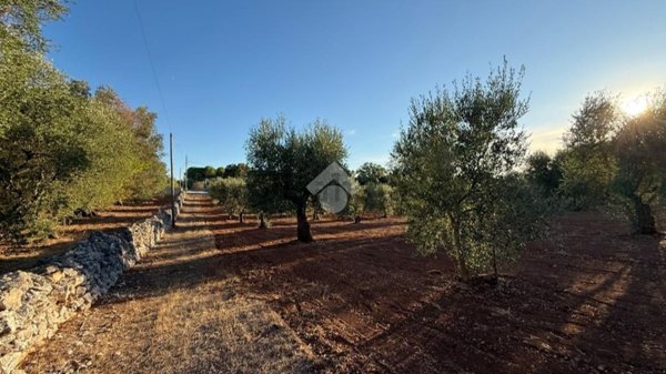 casale in vendita a Ceglie Messapica