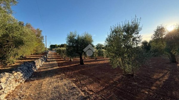 casa indipendente in vendita a Ceglie Messapica