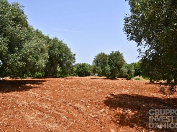 trullo in vendita a Ceglie Messapica
