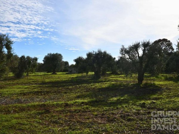 terreno in vendita a Ceglie Messapica