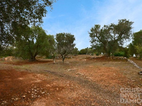 terreno in vendita a Ceglie Messapica