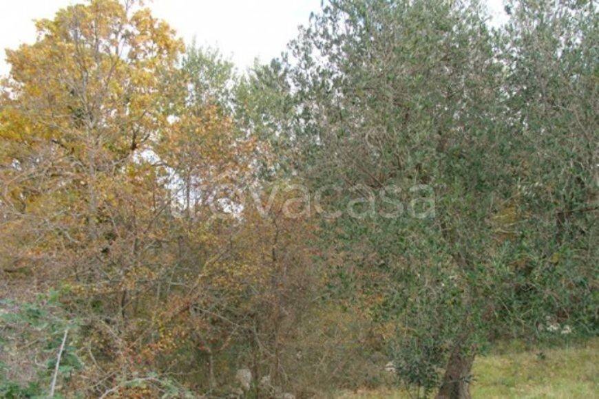 terreno in vendita a Ceglie Messapica