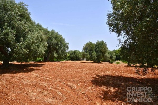 trullo in vendita a Ceglie Messapica