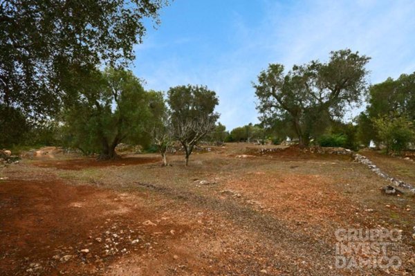 terreno in vendita a Ceglie Messapica