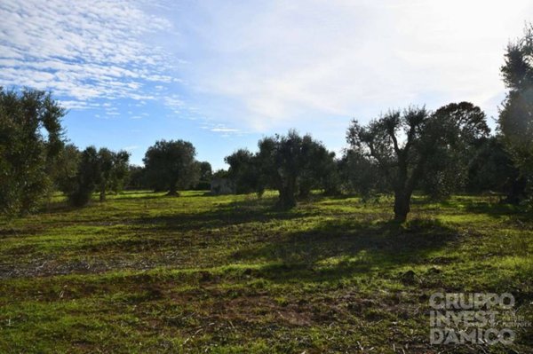 terreno in vendita a Ceglie Messapica