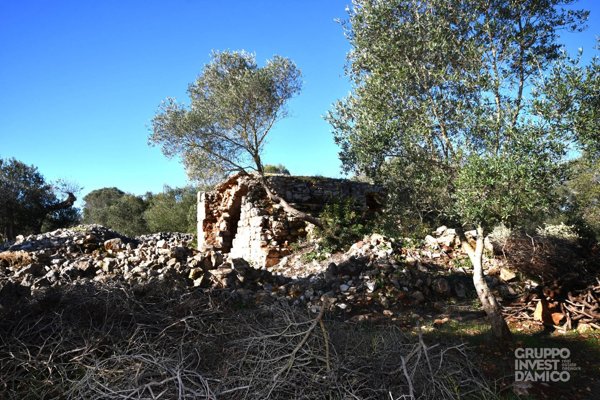 casale in vendita a Ceglie Messapica