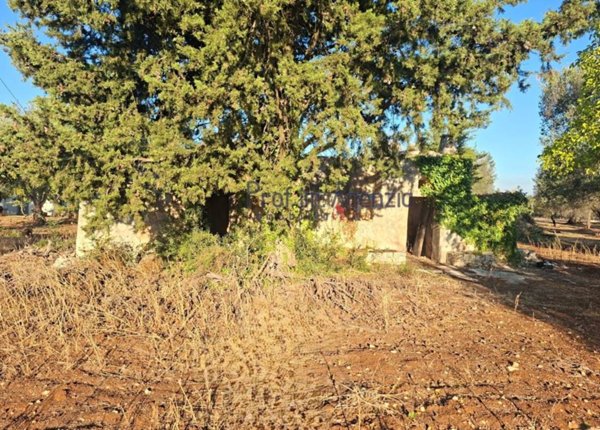 casa indipendente in vendita a Ceglie Messapica