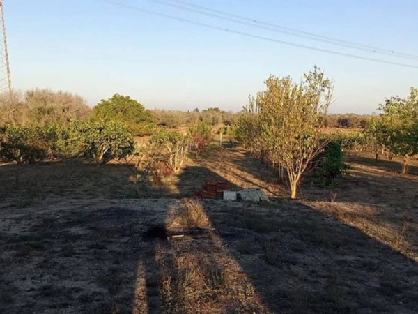 terreno agricolo in vendita a Cellino San Marco