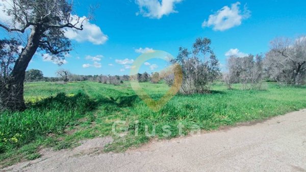 terreno agricolo in vendita a Cellino San Marco