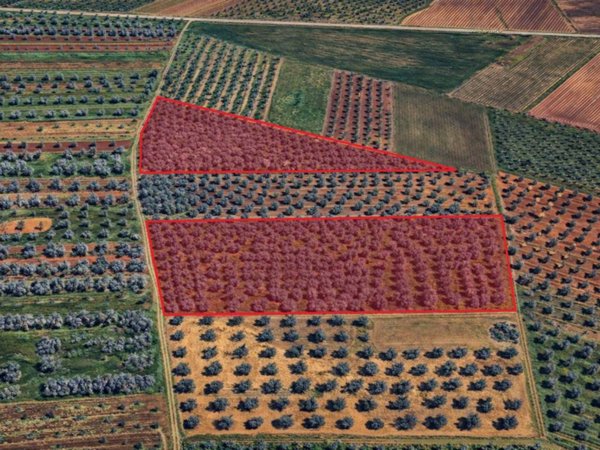 terreno agricolo in vendita a Cellino San Marco