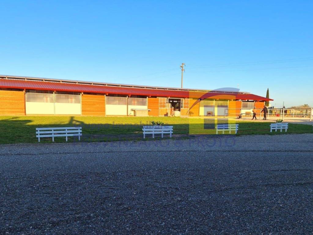 appartamento in vendita a Cellino San Marco