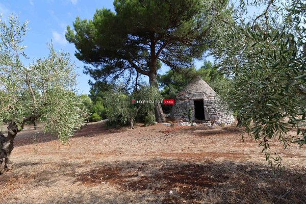 appartamento in vendita a Cisternino