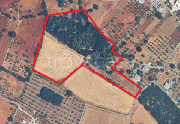terreno agricolo in vendita a Cisternino