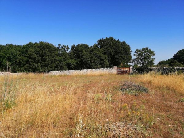 terreno agricolo in vendita a Cisternino