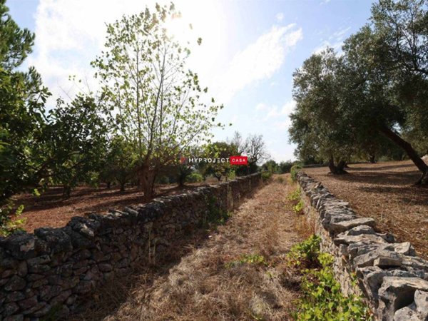 casa semindipendente in vendita a Cisternino