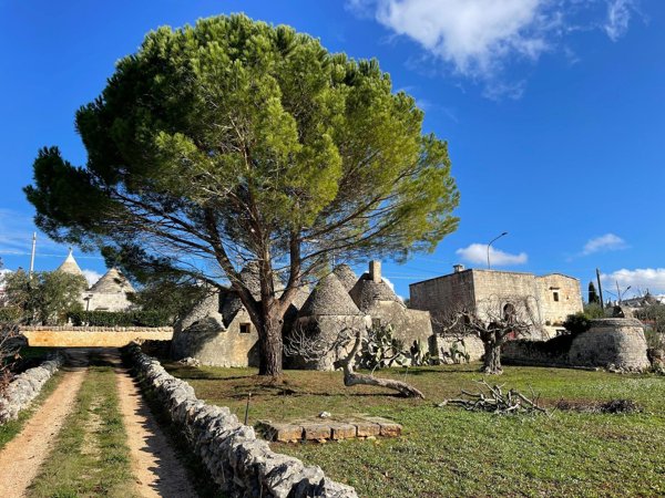 appartamento in vendita a Cisternino