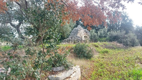 appartamento in vendita a Cisternino